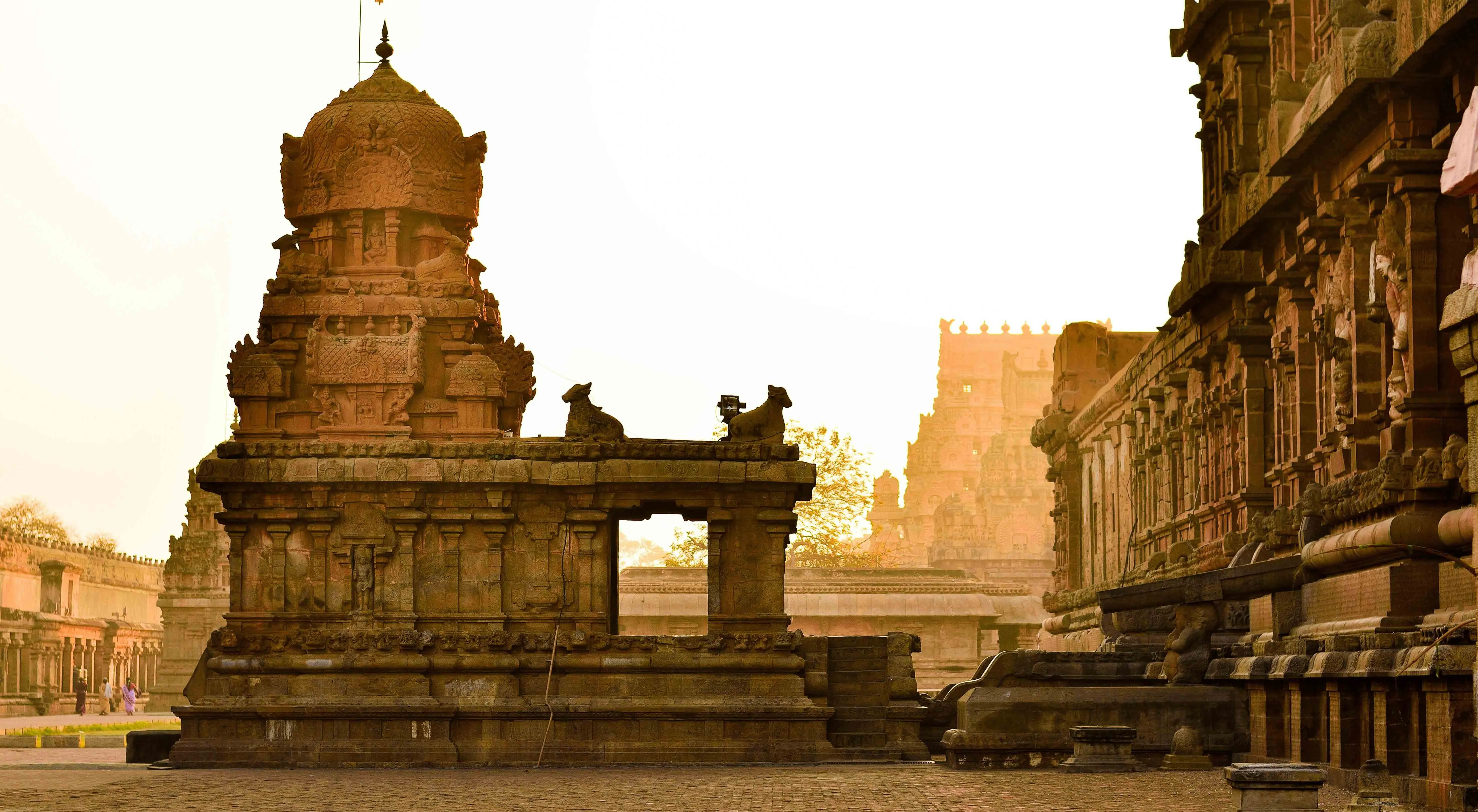 thanjavur-tamil-nadu-india